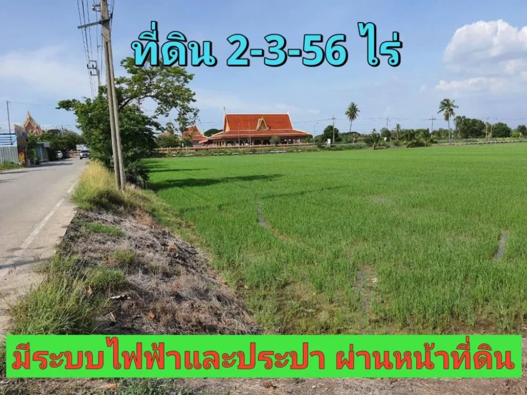 ขายที่ดินไทรน้อย 2-3-56 ไร่ ติดถนนคอนกรีตสาธารณะ ตขุนศรี จนนทบุรี