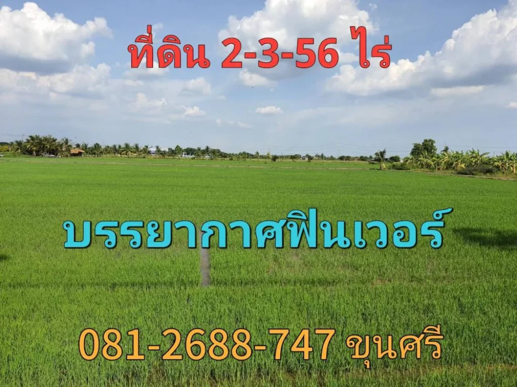 ขายที่ดินไทรน้อย 2-3-56 ไร่ ติดถนนคอนกรีตสาธารณะ ตขุนศรี จนนทบุรี