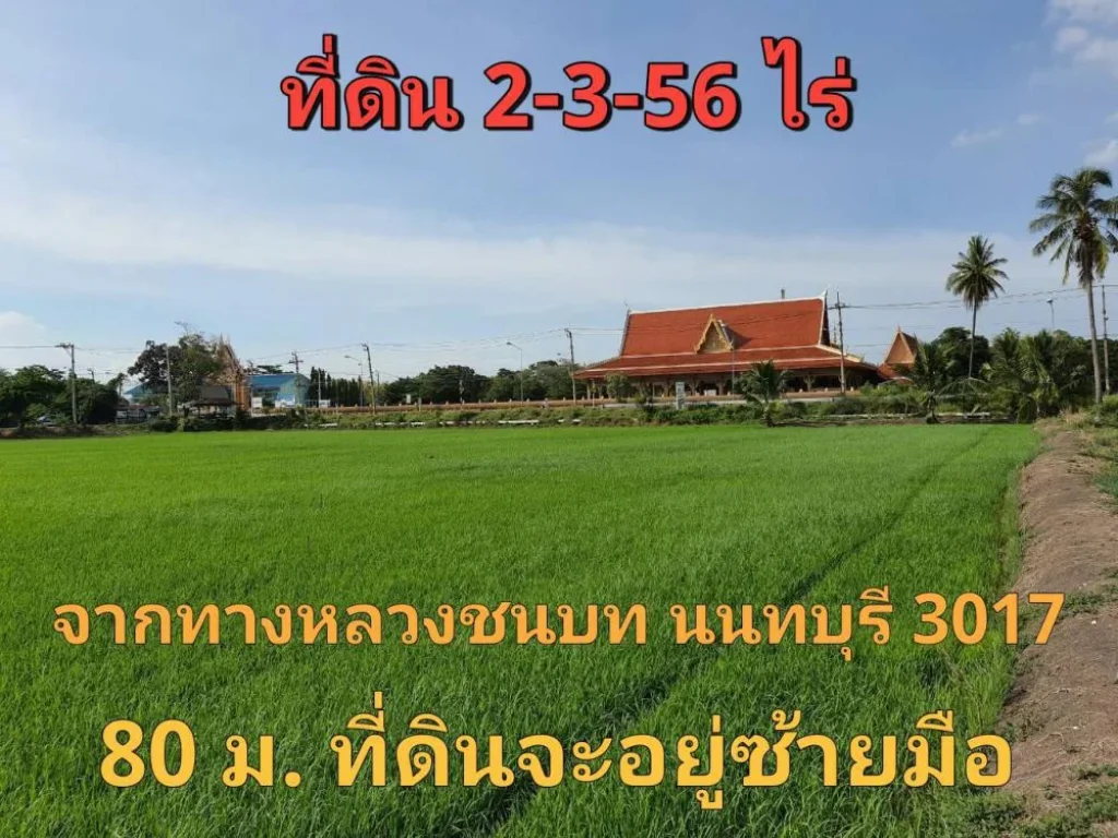 ขายที่ดินไทรน้อย 2-3-56 ไร่ ติดถนนคอนกรีตสาธารณะ ตขุนศรี จนนทบุรี