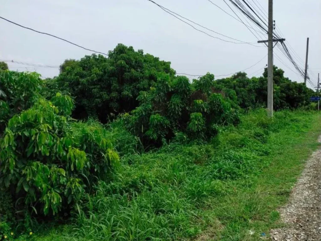 ขายที่ดินหนองช้างคืนหน้าติดถนนลาดยางหลังติดแม่น้ำปิงน้อย พร้อมโอน