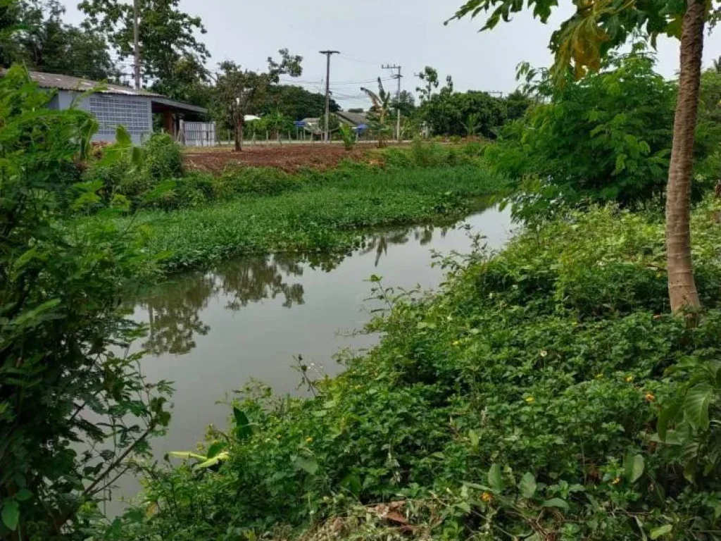 ขายที่ดินหนองช้างคืนหน้าติดถนนลาดยางหลังติดแม่น้ำปิงน้อย พร้อมโอน