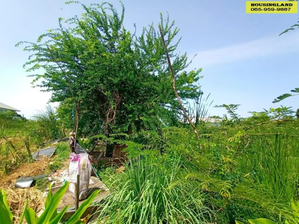 ขายที่ดิน ถนนพหลโยธิน 541 แยก 4 ซอยทิพย์สุขุม แขวงสายไหม เขตสายไหม กรุงเทพมหานคร