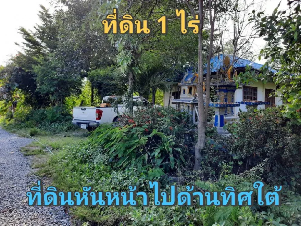 หลุดจอง ที่ดิน 1 ไร่ พร้อมบ้านปูนชั้นเดียว 1 หลัง ใกล้อนามัยวัดราษฎร์นิยม อไทรน้อย จนนทบุรี