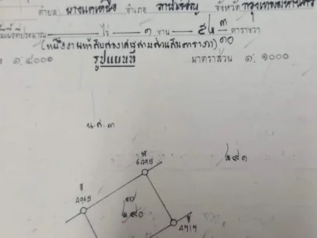 ขายที่ดิน อเมือง จพิษณุโลก ห่างถนนใหญ่ประมาณ 70 เมตร ทำเลดี ใกล้ตัวเมือง ทางเข้าสะดวกติดทางสาธารณะ