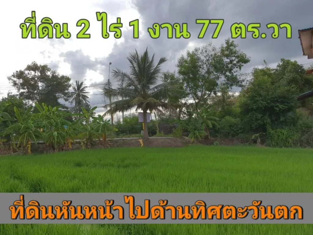 ขายที่ดินติดคลองบางคูลัด 2 ไร่ 1 งาน 77 ตารางวา ตำบลบางแม่นาง อบางใหญ่ จนนทบุรี