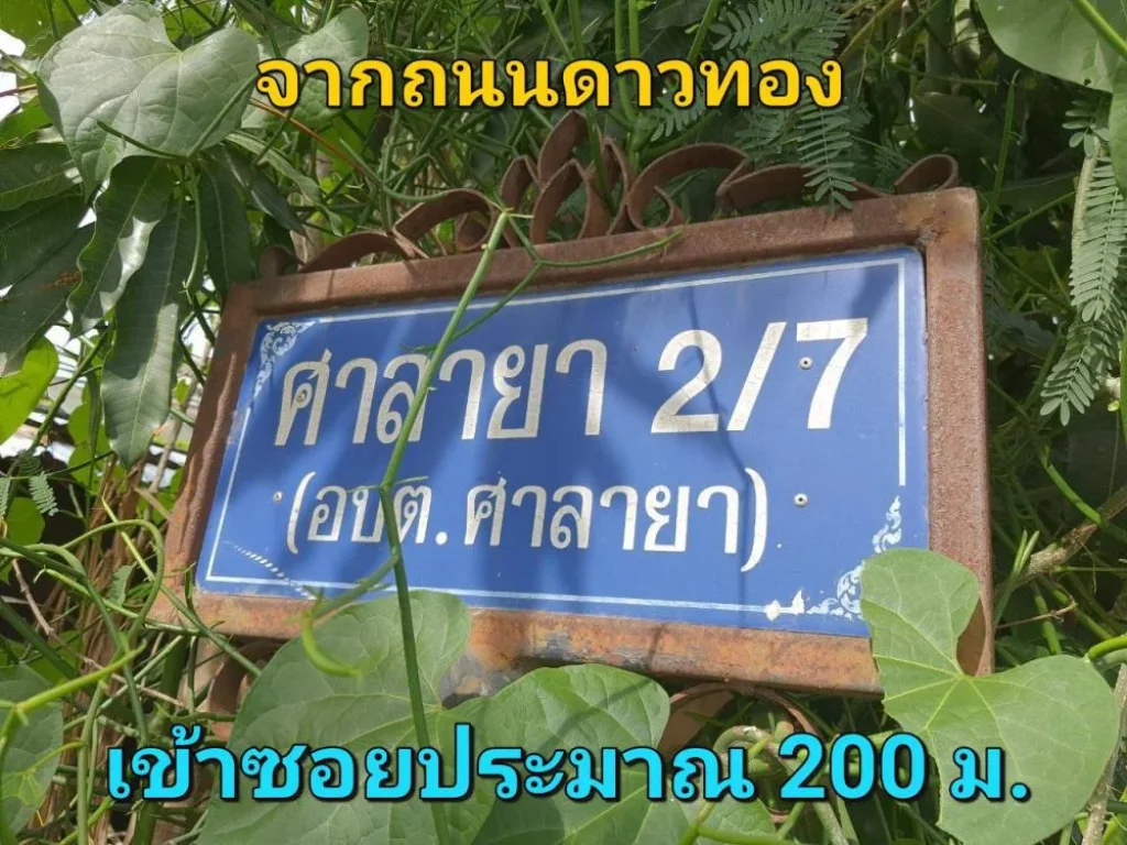 ขายที่ดินศาลายา 100 ตารางวา ซอยศาลายา27 ถนนดาวทอง อพุทธมณฑล จนครปฐม