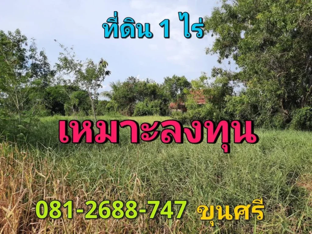 ขายที่ดินหนองเพรางาย 1ไร่ ซอยเคหะ-บ้านใหม่ 43 ติดถนนคอนกรีต อไทรน้อย จนนทบุรี