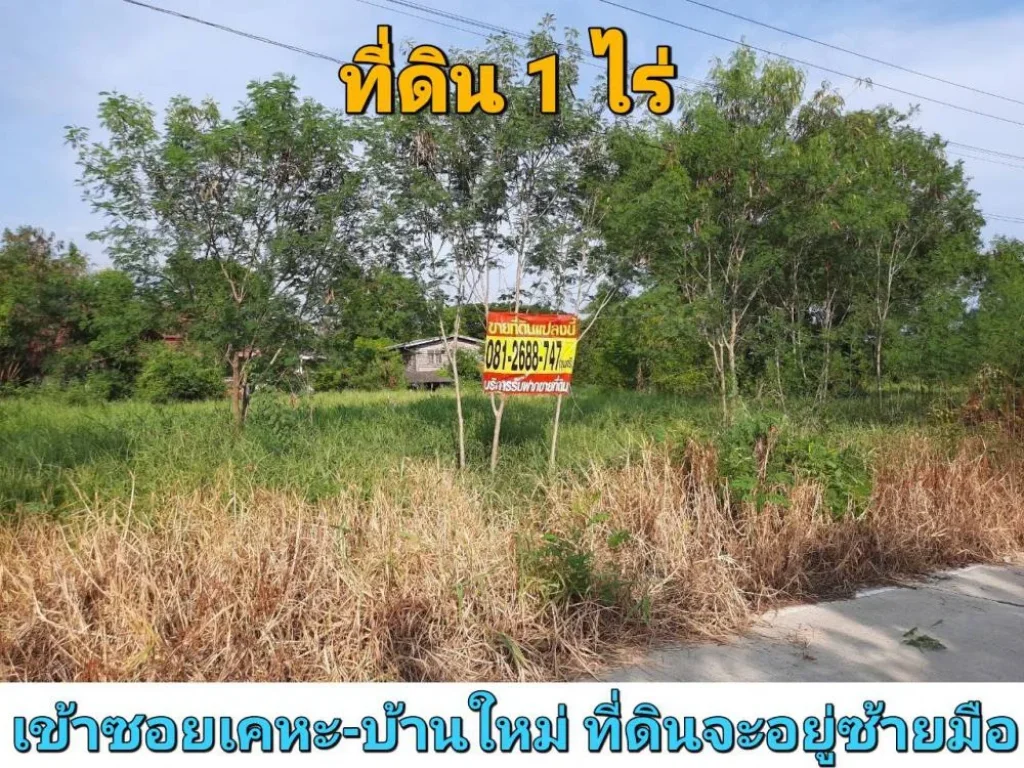 ขายที่ดินหนองเพรางาย 1ไร่ ซอยเคหะ-บ้านใหม่ 43 ติดถนนคอนกรีต อไทรน้อย จนนทบุรี