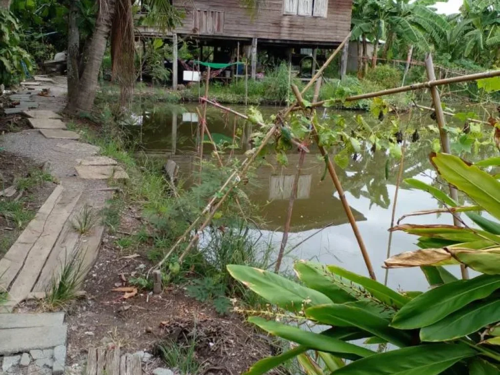 ขายด่วนที่ดินโฉนด 2 งาน น้ำไฟเข้าถึง อบ้านแพ้ว จังหวัดสมุทรสาคร