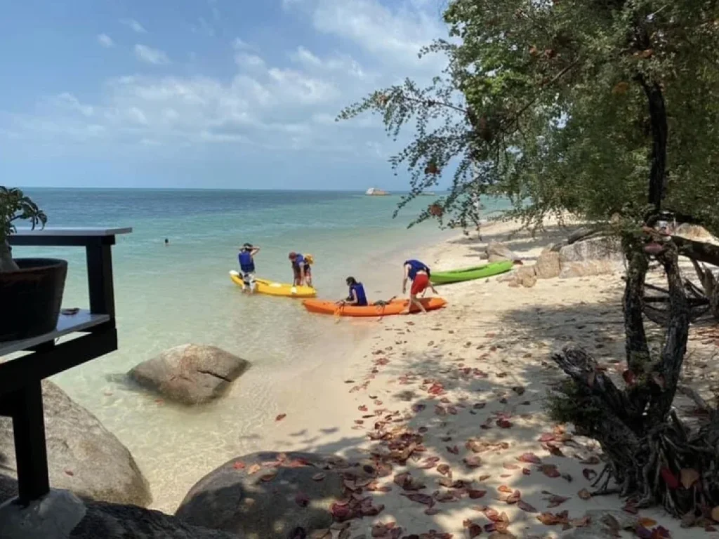 ขายที่ดินติดชายทะเลเกาะพะงัน 1 ไร่ เอกสารสิทธิ โฉนด เห็นพระอาทิตย์ตก หาดส่วนตัว เจ้าของขายเอง