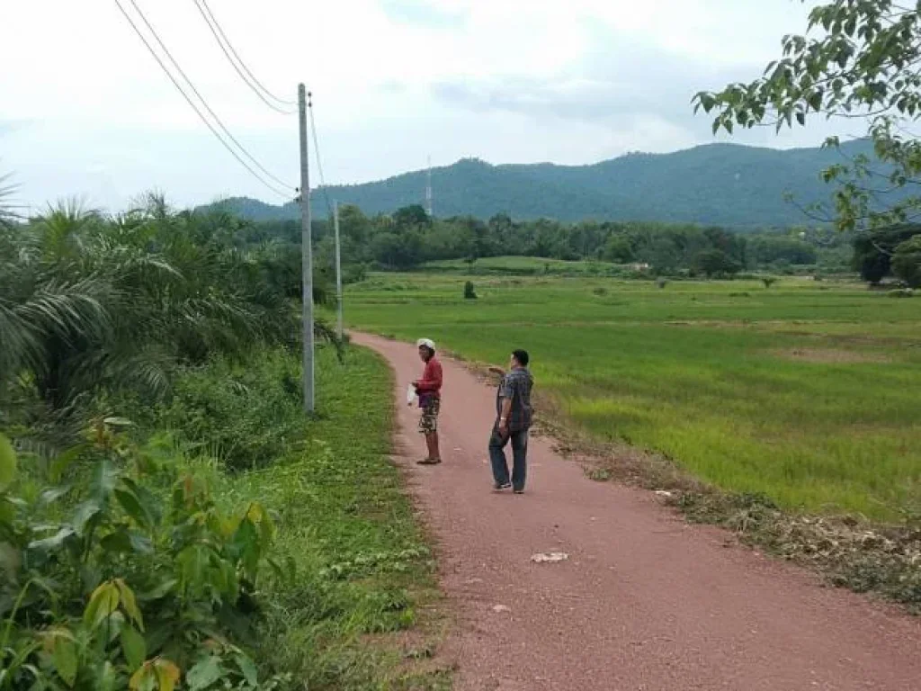 ขายที่ดินสำหรับสร้างบ้านใกล้ สนงเทศบาล ตนาอ้อ อเมือง จเลย 1-1-55 ไร่