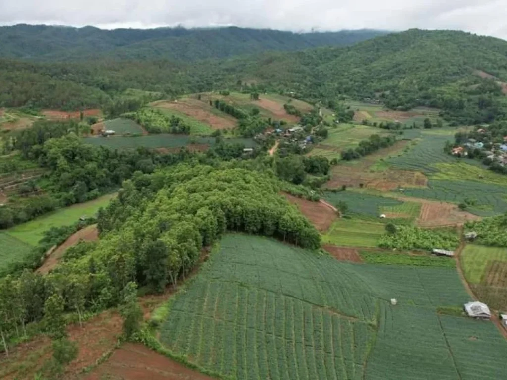 ขายที่ดินเนินดอยสะสาบสะเมิง วิวภูเขาโฉนดพร้อมโอน ราคาถูก