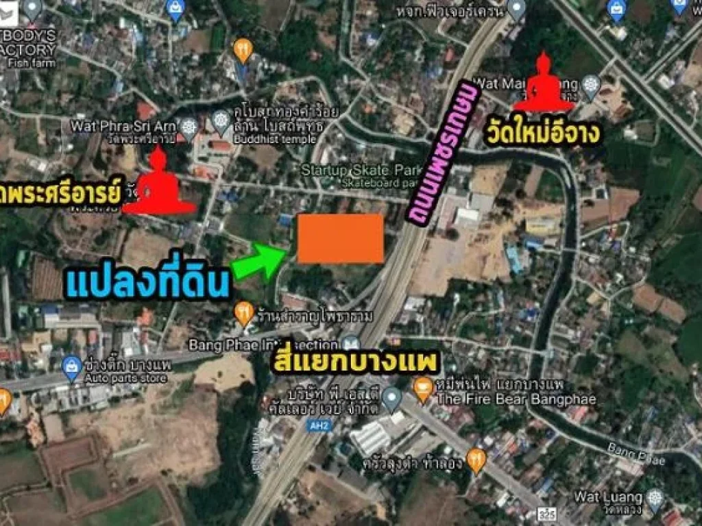 ขายถูก ที่ดินทำเลดี ติดถนนเพชรเกษม สี่แยกบางแพ 13 ไร่ 8 ตรว