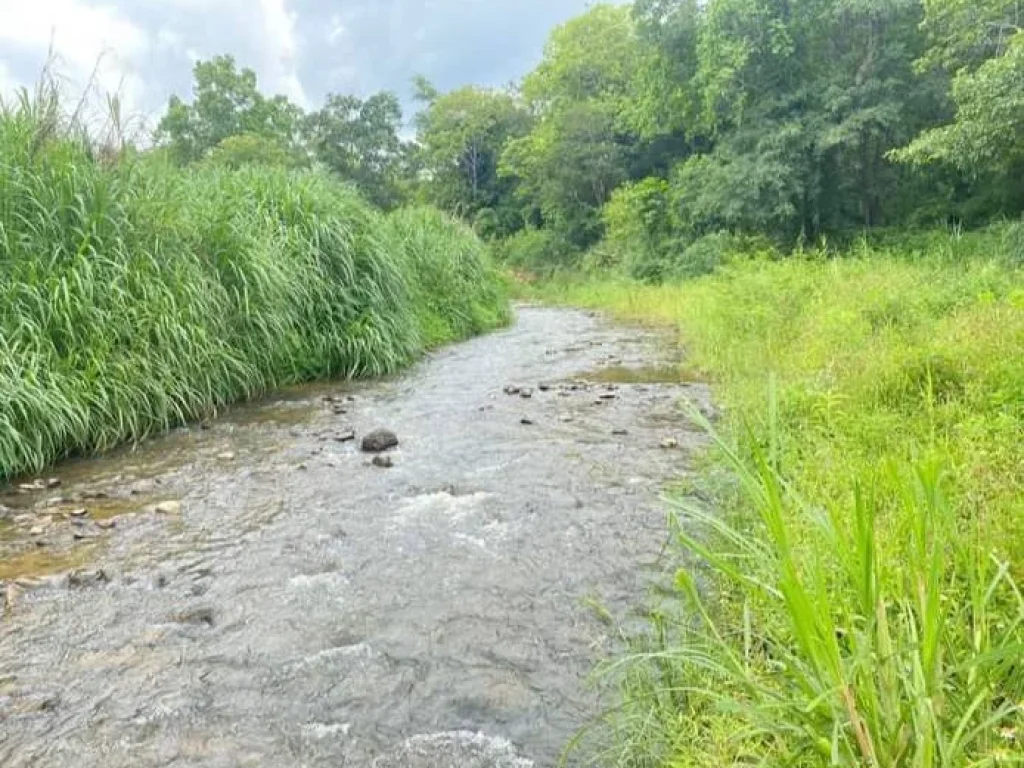 ขายที่ดินติดธารน้ำป่าเมี่ยงดอยสะเก็ตเอกสารสิทธิ์พร้อมขาย