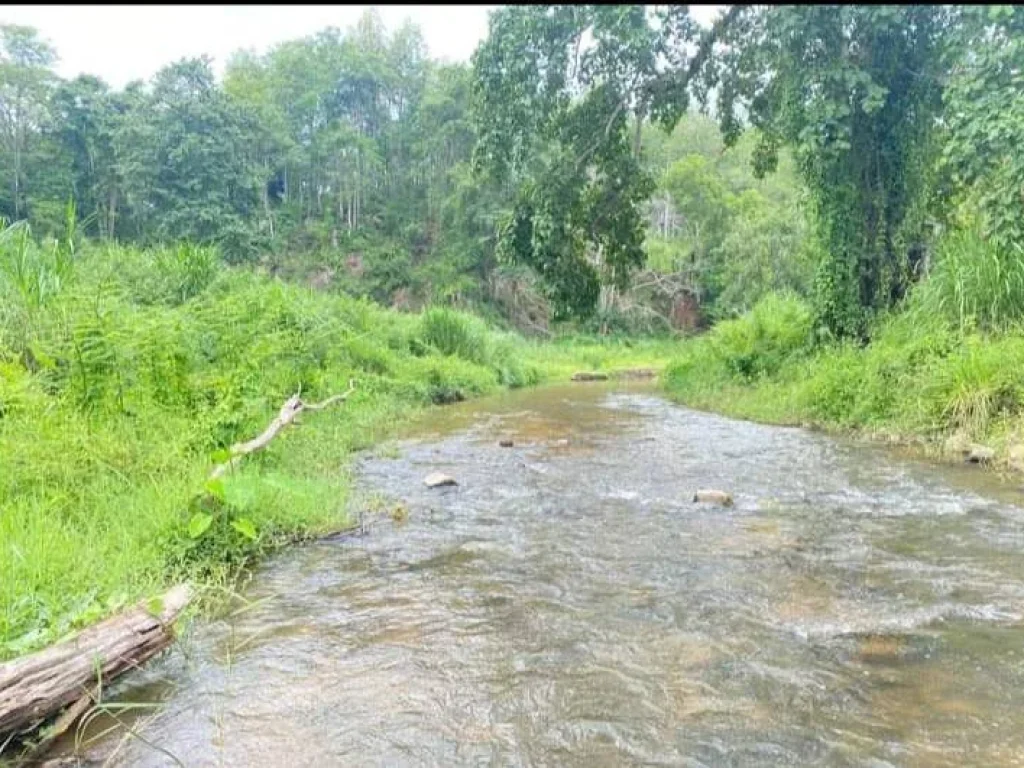 ขายที่ดินติดธารน้ำป่าเมี่ยงดอยสะเก็ตเอกสารสิทธิ์พร้อมขาย