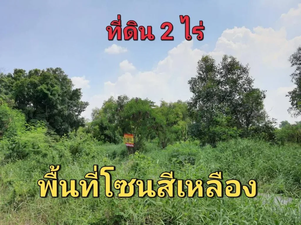 ขายที่ดิน 2 ไร่ ถมแล้วทั้งแปลง ซอย ไอยรา 36 อำเภอ คลองหลวง จังหวัด ปทุมธานี