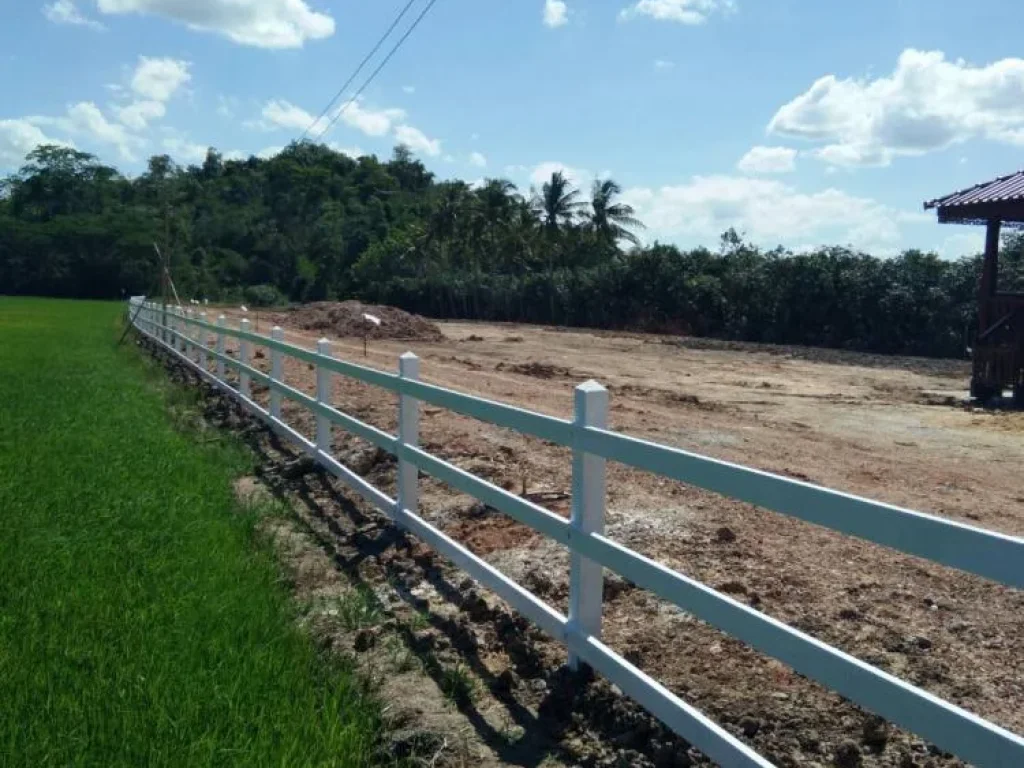 ขายที่ดินเปล่าวิวภูเขาบรรยากาศดี 6 แปลงละ 150 ตรวอเดิมบาง จสุพรรณบุรี