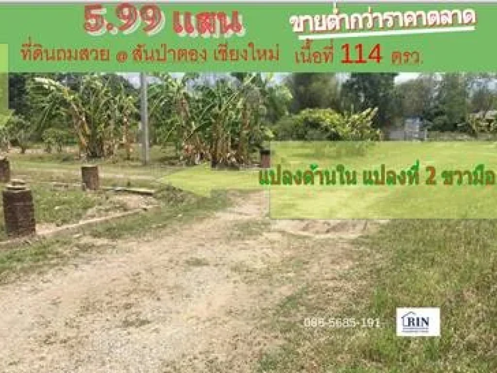 ขายที่ดินเชียงใหม่ 114 วา หลัง รรสันป่าตอง รพสันป่าตอง ใกล้วิทยาลัยเทคโนเชียงใหม่ 599 แสน แบล็ค