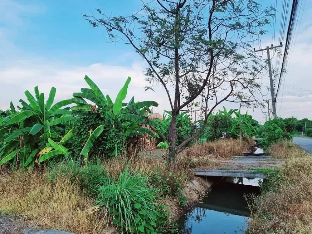 ที่เปล่าเหมาะสร้างบ้านสวนหรือร้านค้าแม่แฝกสันทรายเชียงใหม่