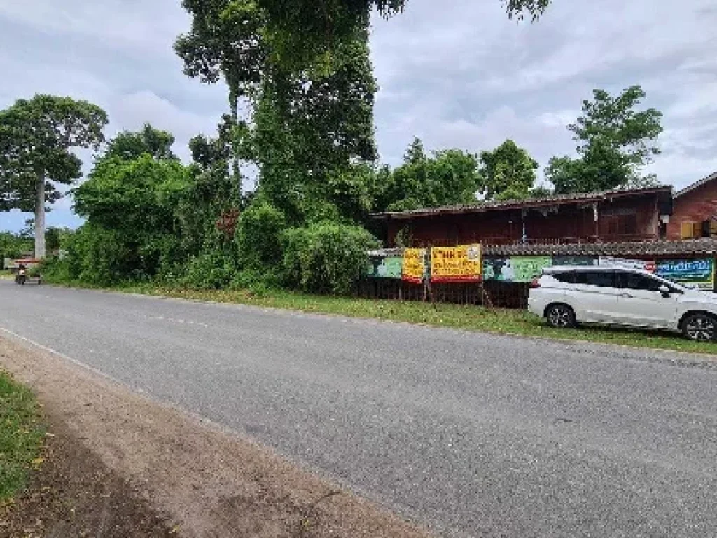 ที่ดิน ราคาถูก ตตะพง อเมืองระยอง ติดถนนดำ ใกล้ตลาดผลไม้ตะพง ใกล้ถนนสุขุมวิท 18 กิโลเมตร ใกล้อุตสาหกรรม IRPC เดินทางสะดวกมาก