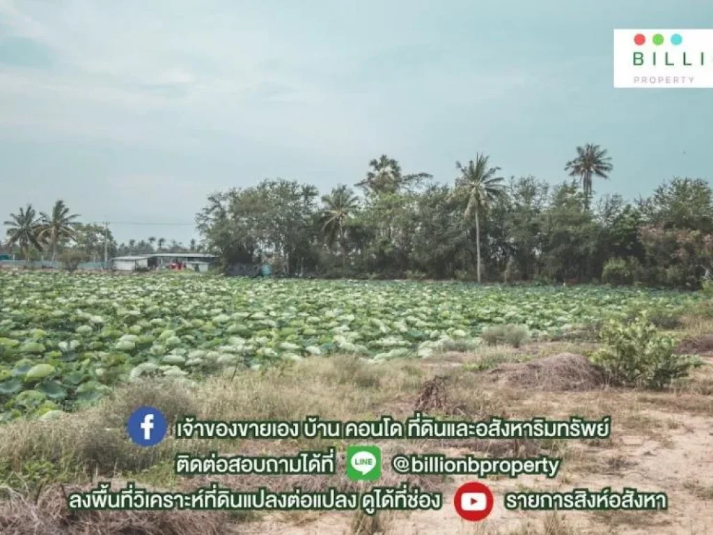 เมืองหลวงควันและฝุ่นมากมาย มองหาธรรมชาติที่แสนสบายอยู่หรือป่าว