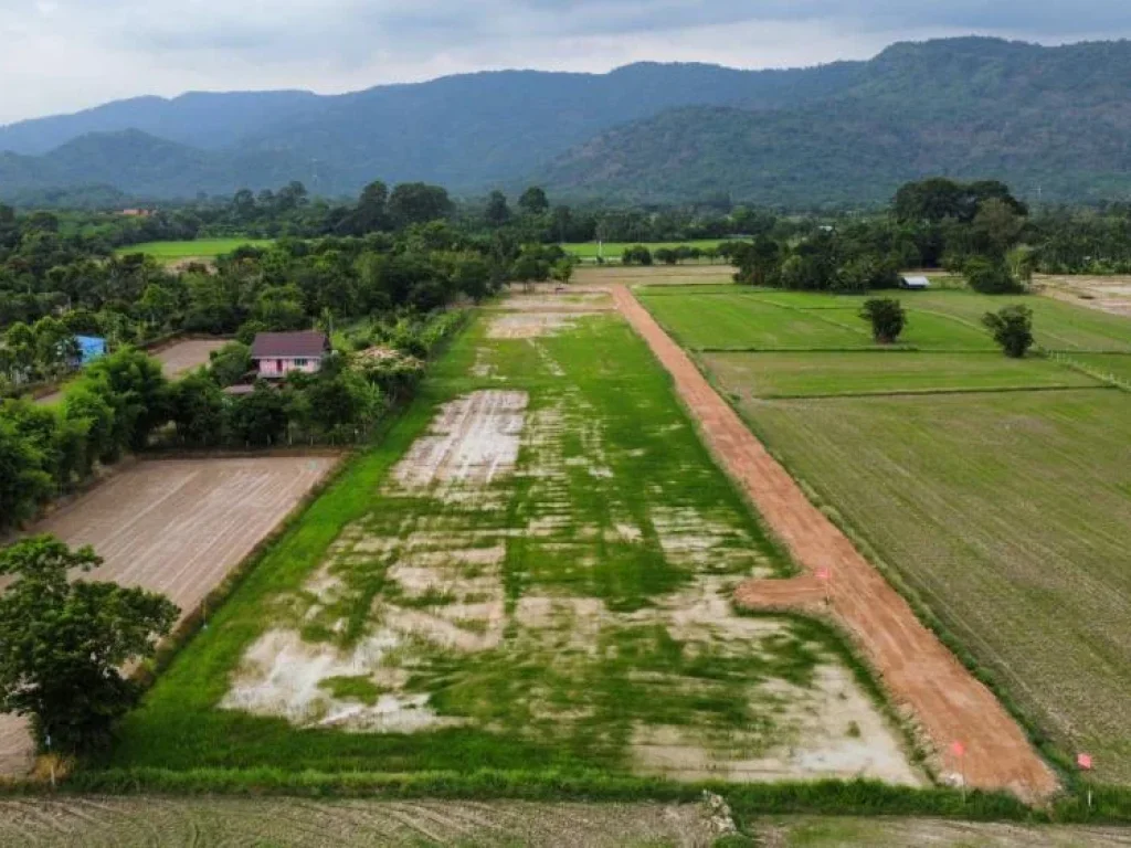 ขายที่ดินทำเลบ้านพักต่างจังหวัด ตเขาพระ จนครนายก ทิวเขารอบตัว 360 องศา