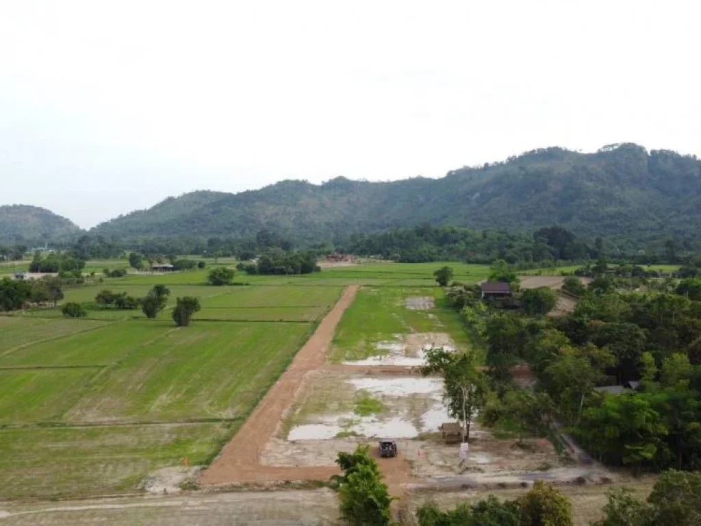 ขายที่ดินทำเลบ้านพักต่างจังหวัด ตเขาพระ จนครนายก ทิวเขารอบตัว 360 องศา