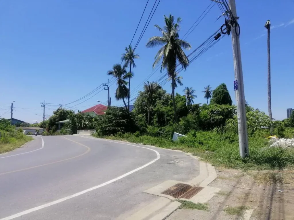 ขายที่ดิน 10 ไร่ พุทธมณฑลสาย1 ใกล้รถไฟฟ้า ใกล้ห้าง ใกล้โรงเรียน ใกล้ มสยาม