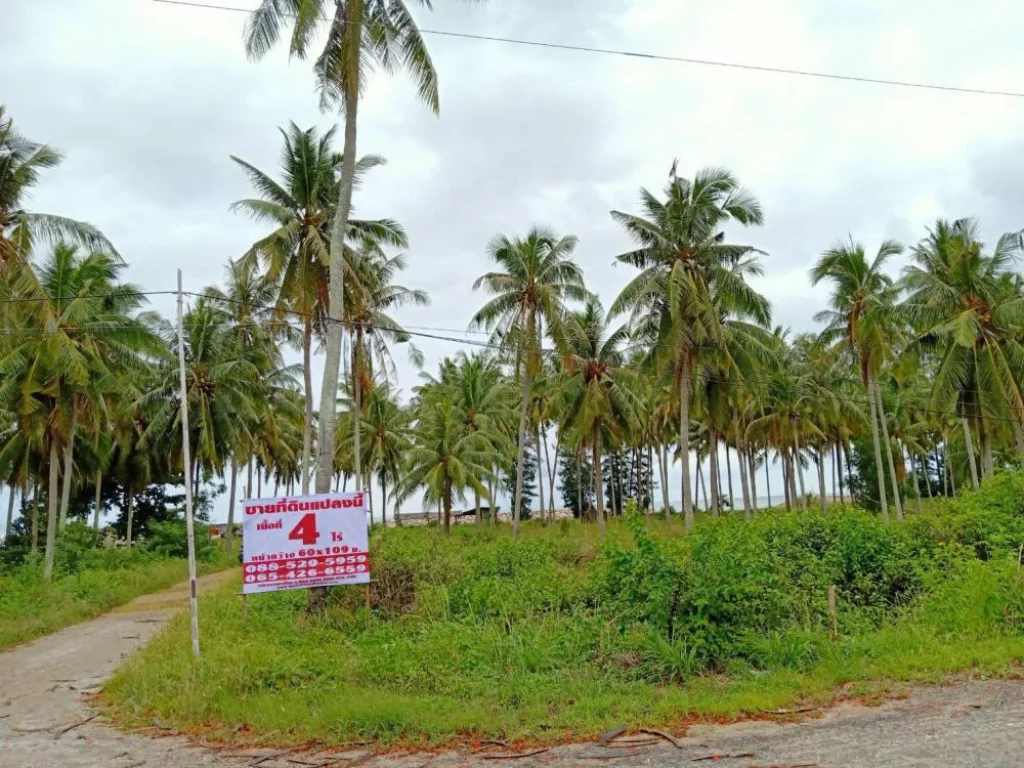 ขายที่ดิน 4 ไร่ ติดทะเลหาดสวย วิวเขาที่ถมแล้ว อำเภอหลังสวน จังหวัดชุมพร