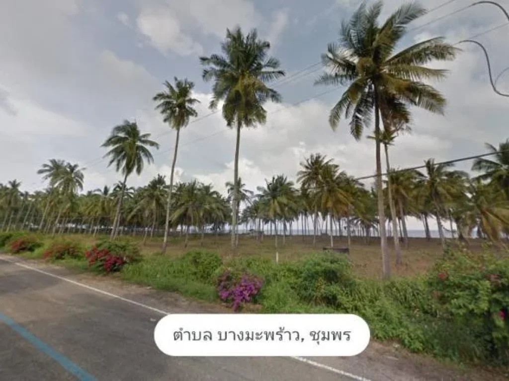 ขายที่ดิน 4 ไร่ ติดทะเลหาดสวย วิวเขาที่ถมแล้ว อำเภอหลังสวน จังหวัดชุมพร