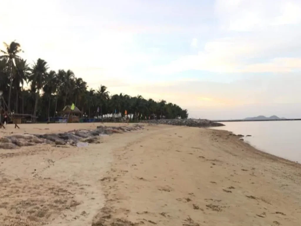 ขายที่ดิน 4 ไร่ ติดทะเลหาดสวย วิวเขาที่ถมแล้ว อำเภอหลังสวน จังหวัดชุมพร