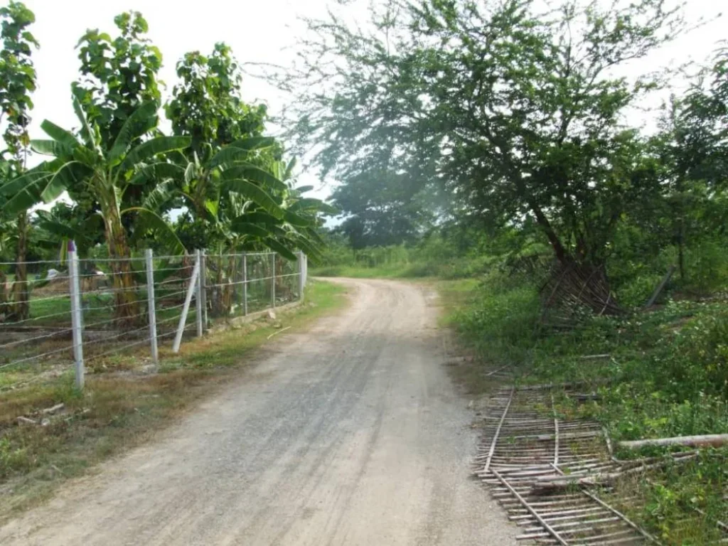 ขายที่ดินหน้าติดถนนหลังติดน้ำ เหมืองแก้วแม่ริม โฉนดพร้อมโอน