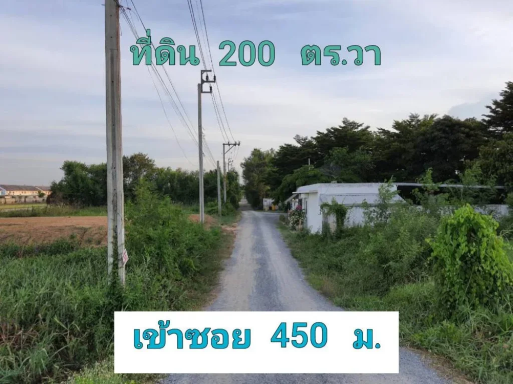 ขายต่ำกว่าราคาตลาด ที่ดิน 200 ตารางวา มีระบบไฟฟ้า 3 เฟส ผ่านหน้าที่ดิน ตำบลไทรน้อย อำเภอไทรน้อย จังหวัดนนทบุรี