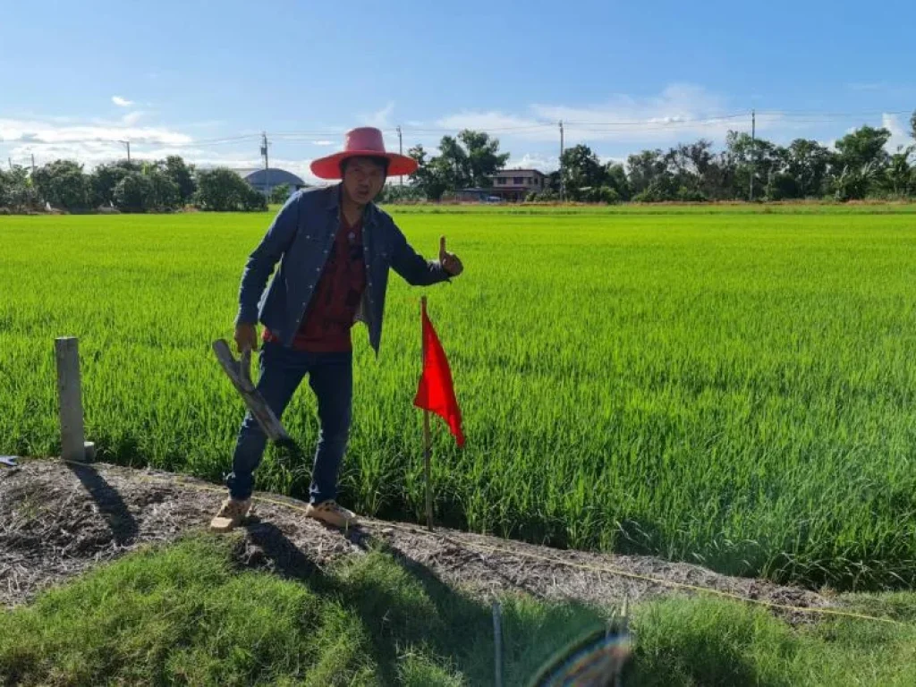 ที่ดินทำเลทอง ที่ดินแบ่งแปลง บ้านคลองขวาง อไทรน้อย จนนทบุรี