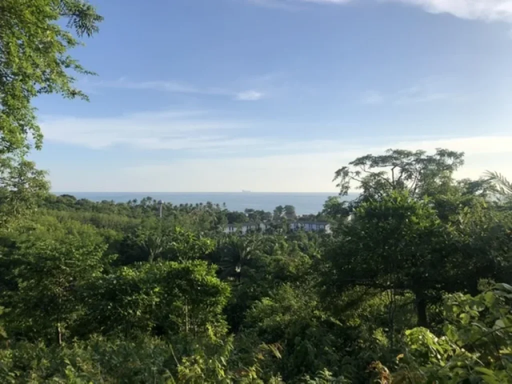 ที่ดินซีวิว บนเกาะลันตา เหมาะสำหรับทำบังกะโล บ้านพักตากอากาศ