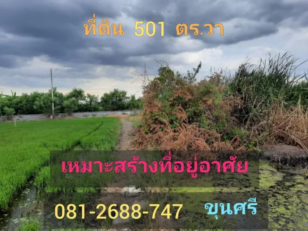 ขายต่ำกว่าราคาตลาด ที่ดิน 501 ตารางวา ติดถนนลาดยาง ไฟฟ้า-ประปา ผ่านหน้าที่ดิน ตำบลหนองเพรางาย อำเภอไทรน้อย จังหวัดนนทบุรี