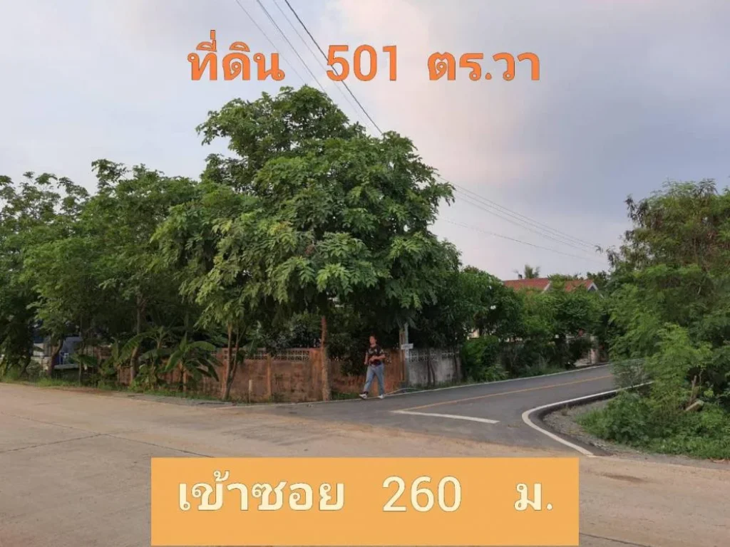 ขายต่ำกว่าราคาตลาด ที่ดิน 501 ตารางวา ติดถนนลาดยาง ไฟฟ้า-ประปา ผ่านหน้าที่ดิน ตำบลหนองเพรางาย อำเภอไทรน้อย จังหวัดนนทบุรี