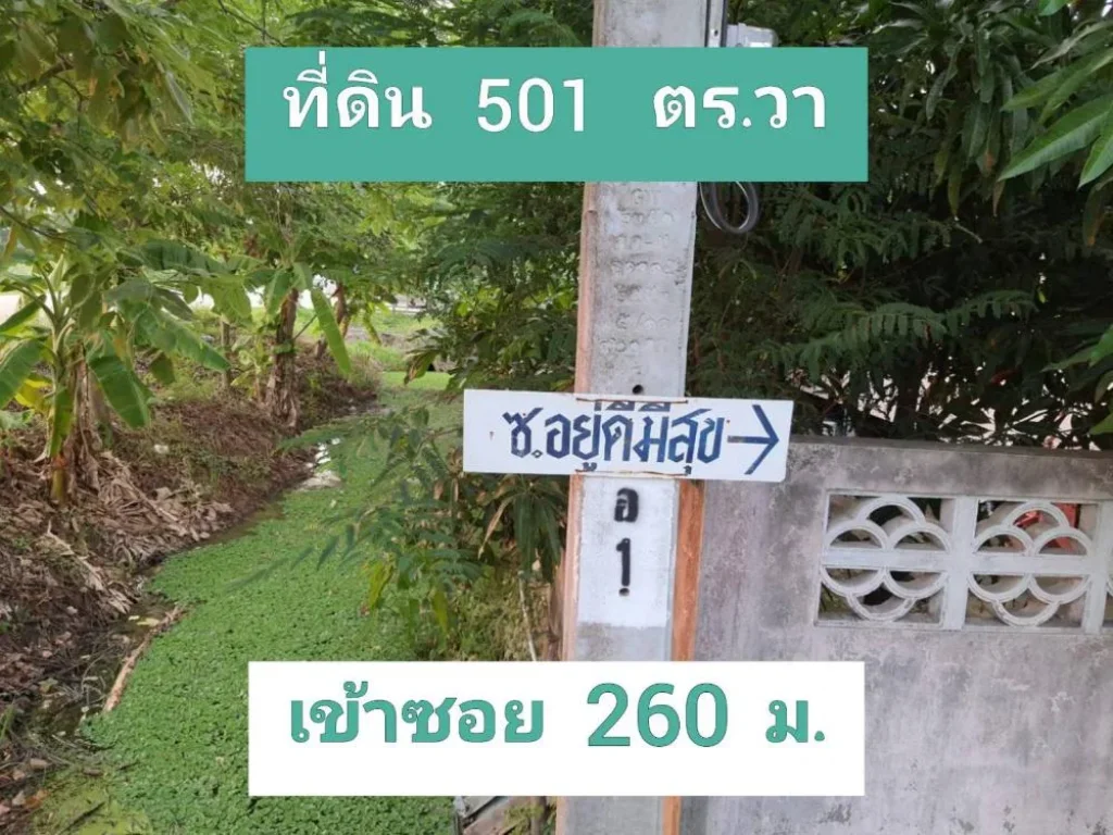 ขายต่ำกว่าราคาตลาด ที่ดิน 501 ตารางวา ติดถนนลาดยาง ไฟฟ้า-ประปา ผ่านหน้าที่ดิน ตำบลหนองเพรางาย อำเภอไทรน้อย จังหวัดนนทบุรี