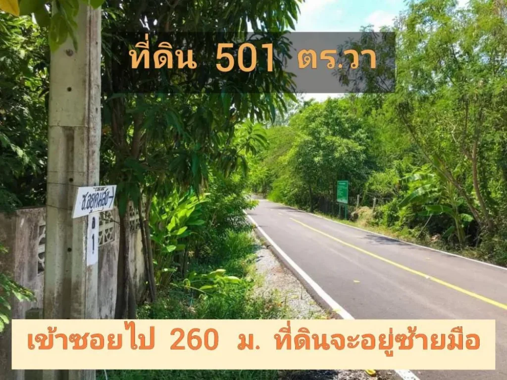 ขายต่ำกว่าราคาตลาด ที่ดิน 501 ตารางวา ติดถนนลาดยาง ไฟฟ้า-ประปา ผ่านหน้าที่ดิน ตำบลหนองเพรางาย อำเภอไทรน้อย จังหวัดนนทบุรี