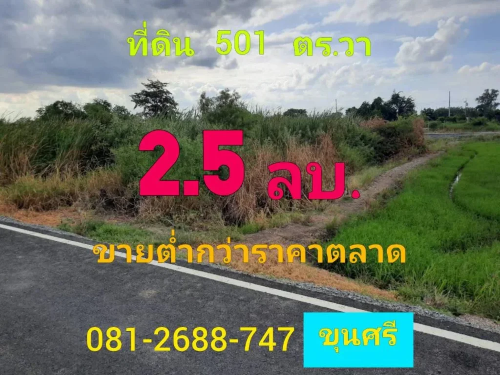 ขายต่ำกว่าราคาตลาด ที่ดิน 501 ตารางวา ติดถนนลาดยาง ไฟฟ้า-ประปา ผ่านหน้าที่ดิน ตำบลหนองเพรางาย อำเภอไทรน้อย จังหวัดนนทบุรี