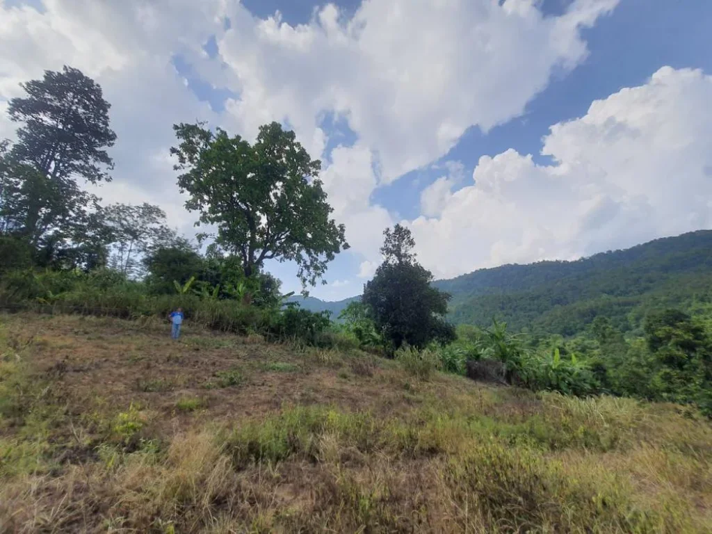 ขายที่ดินบ้านปงหางดง เน้นวิวเนินดอย ใกล้วิวภูเขาโฉนดพร้อมโอนราคาถูก