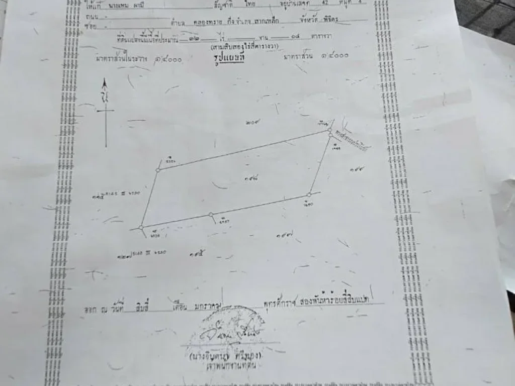 ขายที่ดิน 127 ไร่ คลองทราย ตแม่ระกา เดินทางเข้าออกสะดวก