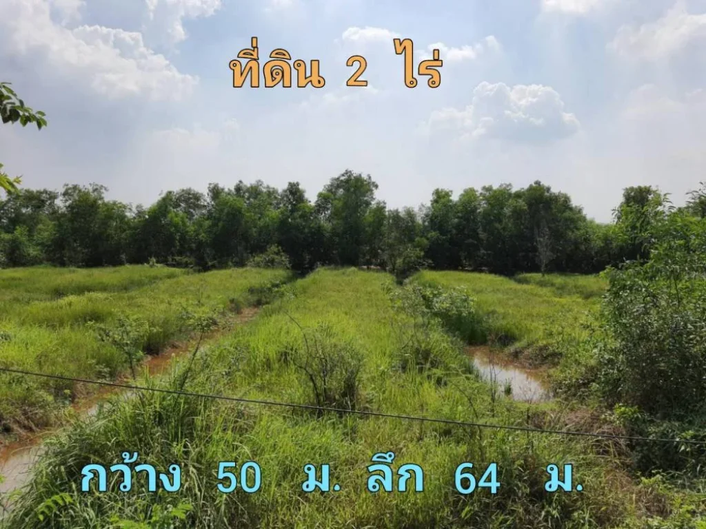 ขายต่ำกว่าราคาตลาด ที่ดิน 2 ไร่ ซอย ไอยรา 36 อำเภอ คลองหลวง จังหวัด ปทุมธานี