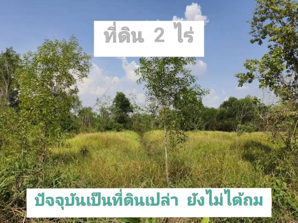 ขายต่ำกว่าราคาตลาด ที่ดิน 2 ไร่ ซอย ไอยรา 36 อำเภอ คลองหลวง จังหวัด ปทุมธานี