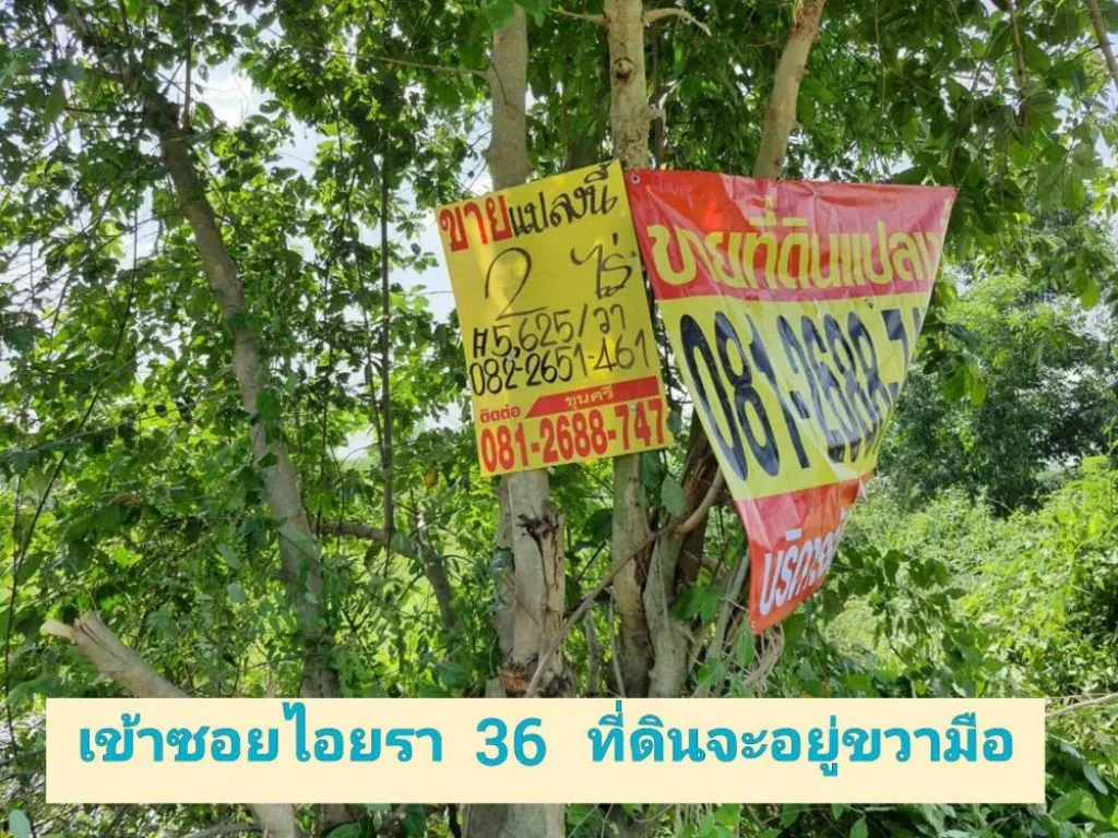 ขายต่ำกว่าราคาตลาด ที่ดิน 2 ไร่ ซอย ไอยรา 36 อำเภอ คลองหลวง จังหวัด ปทุมธานี