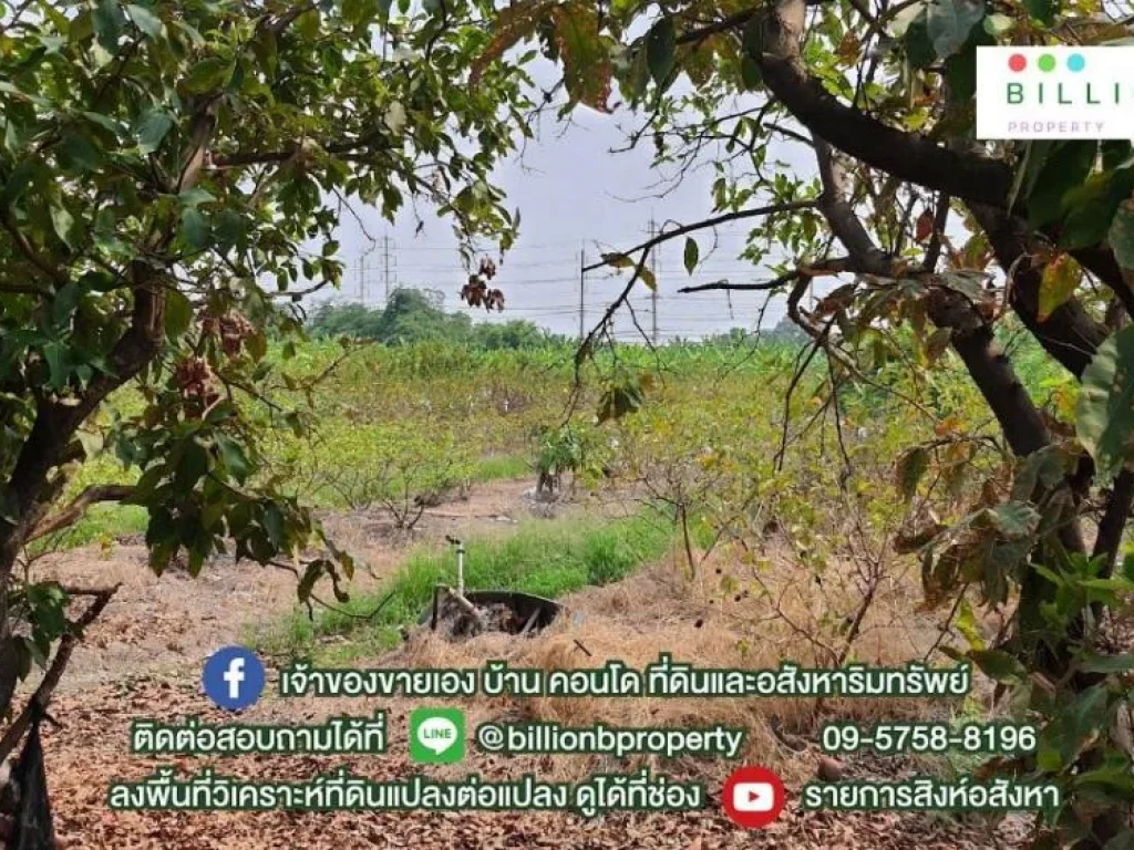 ที่ดินแปลงใหญ่ อยู่ไม่ไกลจากกรุงเทพฯ บางกรวย - ไทรน้อย