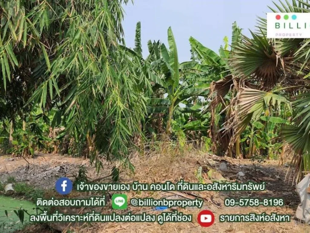 ที่ดินแปลงใหญ่ อยู่ไม่ไกลจากกรุงเทพฯ บางกรวย - ไทรน้อย