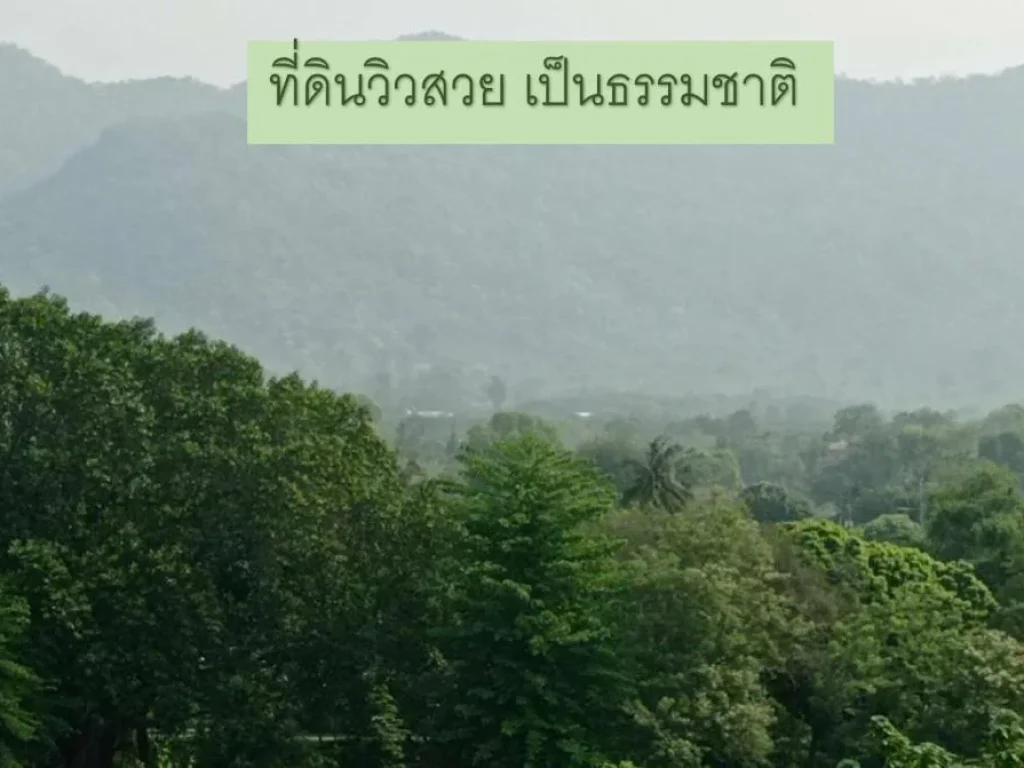 ขายที่ดินพื้นที่สวย 38ไร่ ติดแม่น้ำ 200เมตร อยู่แหล่งท่องเที่ยว อไทรโยค