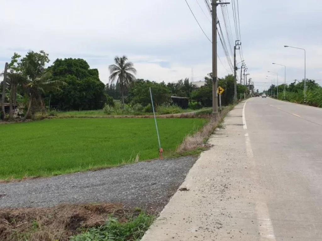 ที่ดินสวยๆทำเลดีติดถนนใหญ่แบ่งล็อค อยู่ข้าง อบตหนองเพรางาย จนนทบุรี