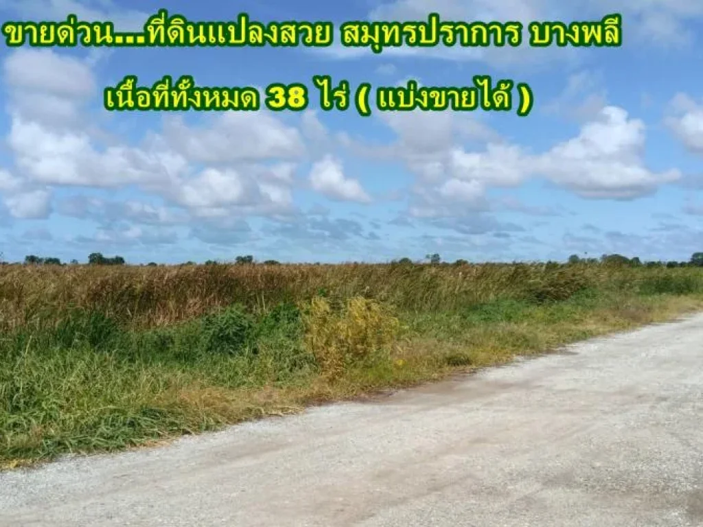 ขายที่ดินย่านสมุทรปราการ บางพลี บางปลา เนื้อที่ทั้งหมด 38 ไร่